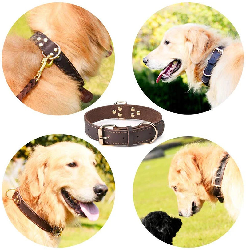 Durable Vintage Heavy-Duty Rustproof Double D-Ring Pet Collar