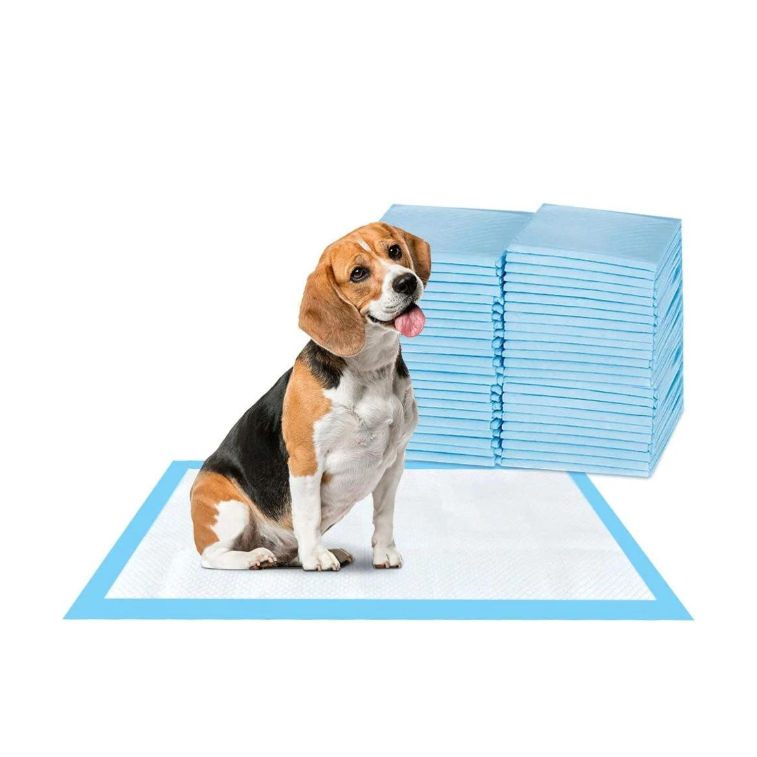 Absorbent Waterproof Dog and Puppy Pet Training Pad